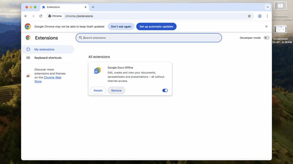 Google Chrome Extensions