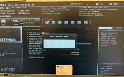 MSI CSM Settings