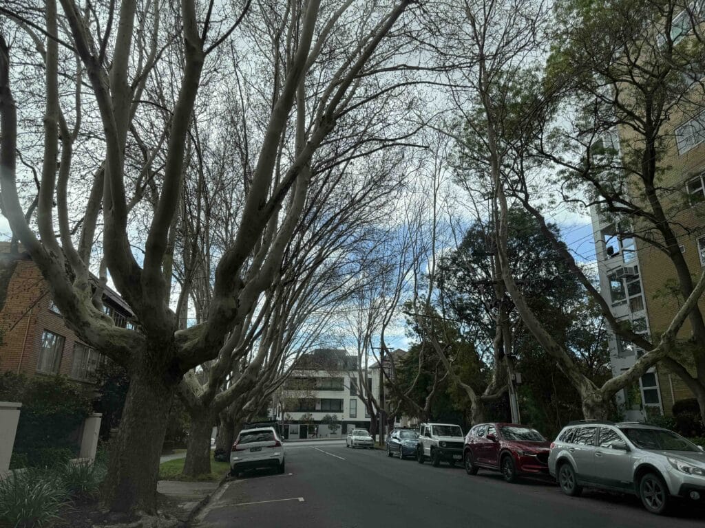 computer repairs Toorak